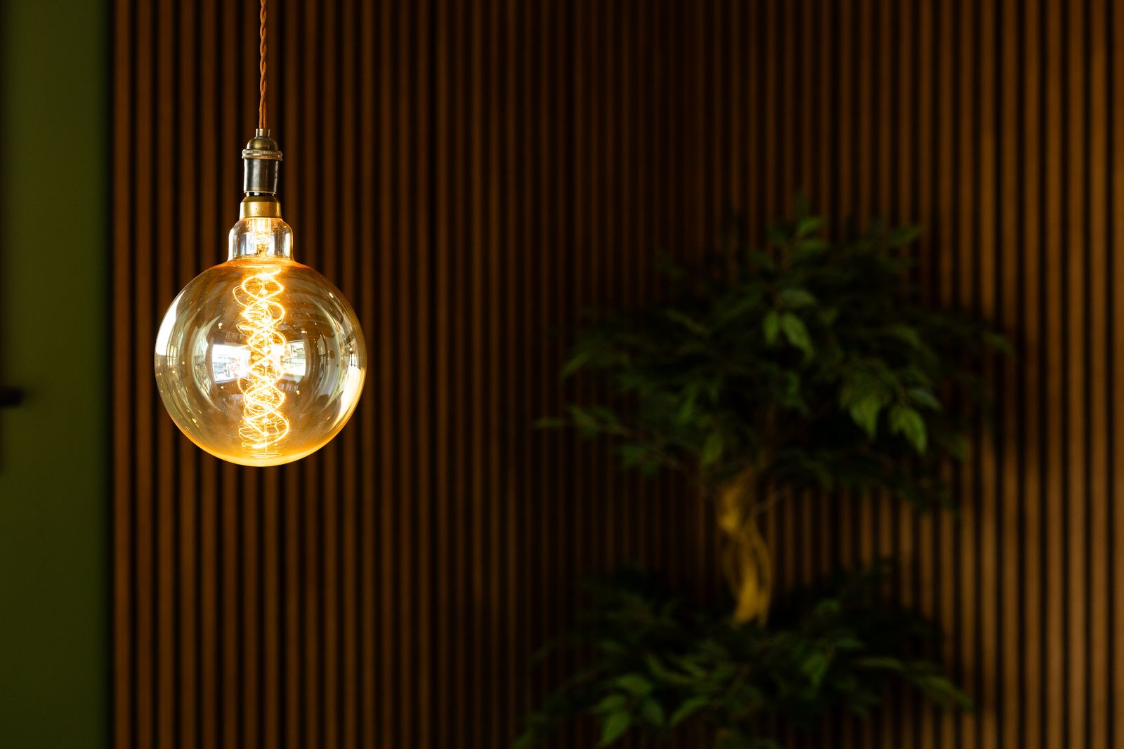A bare bulb glowing against dark wood slats